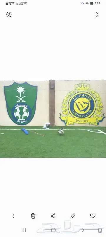 رسام صالات رياظة 17