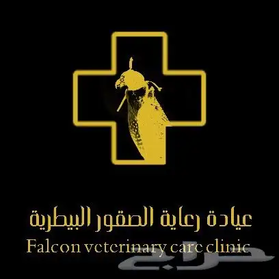 تصميم شعار مميز و رائع 11