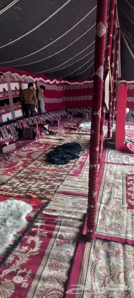 تاجير خيام تأجير بيوت شعر جميع لاوزم الحفلات والمزدات ومزاين 4