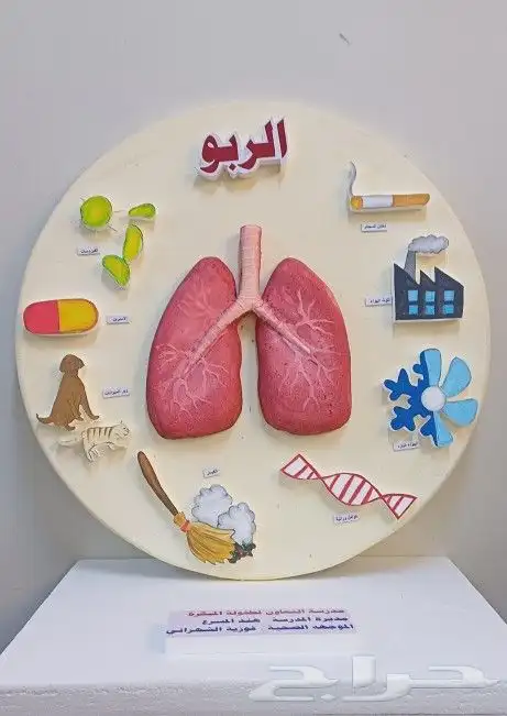 رسام ونحات وفنان تشكيلي 17