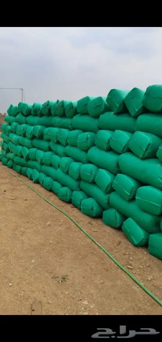 نشارة دواجن خميس مشيط 4