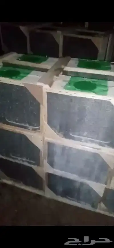 نحل مصرى100  شغل كل يوم وبأحسن أسعار أن شاء الله 3