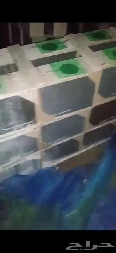 نحل مصرى100  شغل كل يوم وبأحسن أسعار أن شاء الله 4