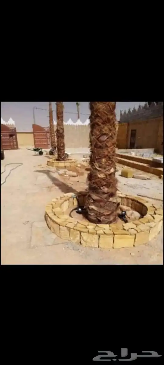 مباني تراث حجر وطين واسقف من خشب الاثل وجريد نخيل وتليوست وت 1