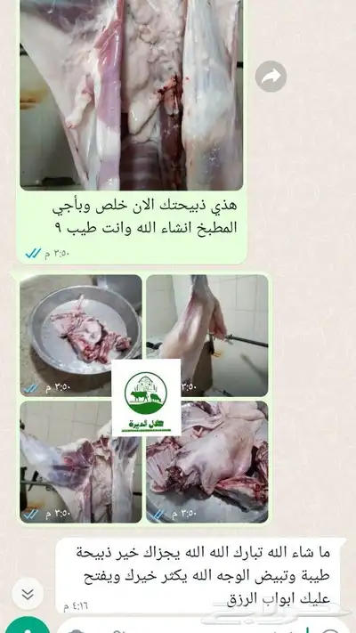 حلال الديرة لبيع الذبايح مع خدمة الذبح والتوصيل حسب طلب الع 4