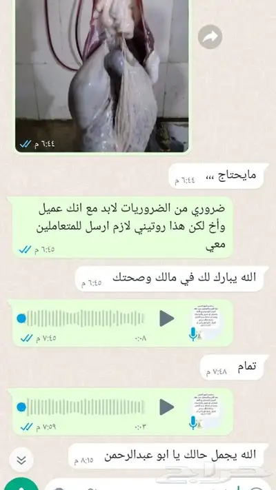 حلال الديرة لبيع الذبايح مع خدمة الذبح والتوصيل حسب طلب الع 3