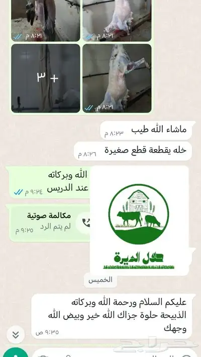 حلال الديرة لبيع الذبايح مع خدمة الذبح والتوصيل حسب طلب الع 10