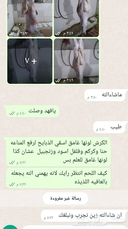 حلال الديرة لبيع الذبايح مع خدمة الذبح والتوصيل حسب طلب الع 6