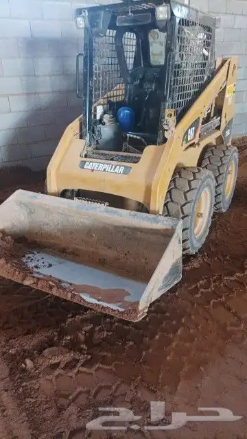 Bobcat Caterpillar for rent in Neom Sharma Aada 1