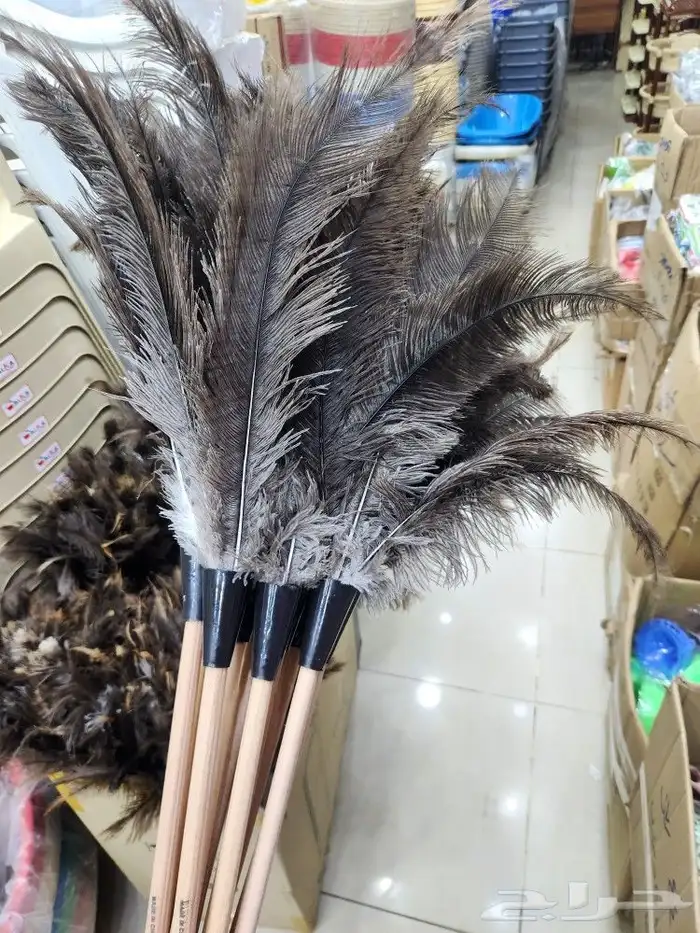 ريش نعام منافض غبار 5