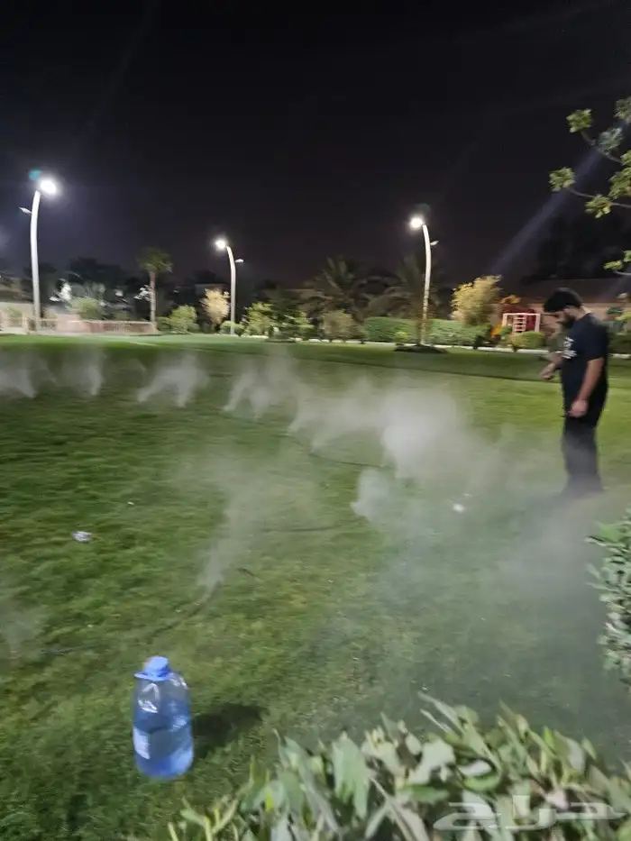 ضباب اليوم الوطني 17