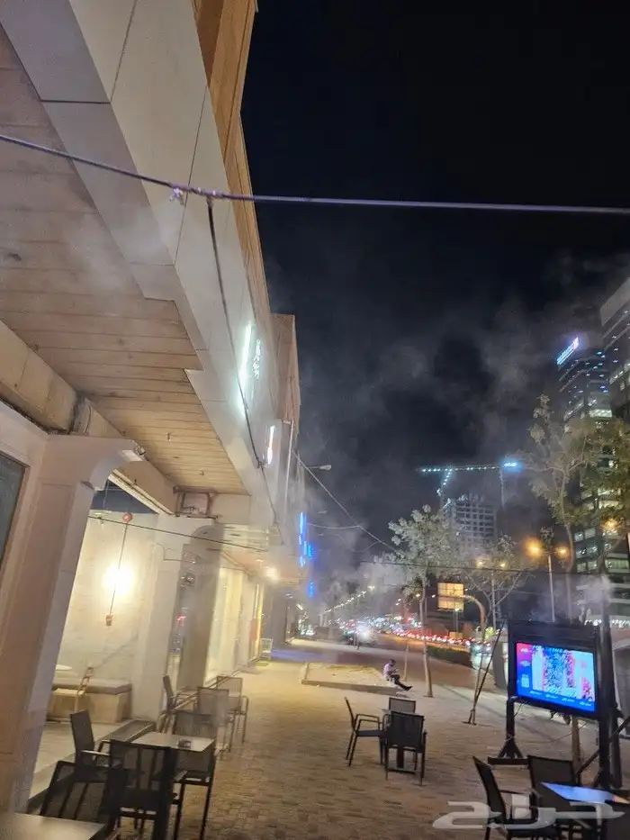 ضباب اليوم الوطني 10