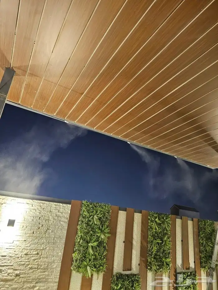 ضباب اليوم الوطني 3