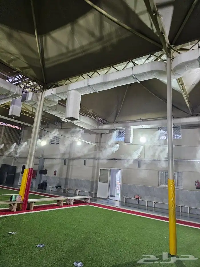 ضباب اليوم الوطني 13