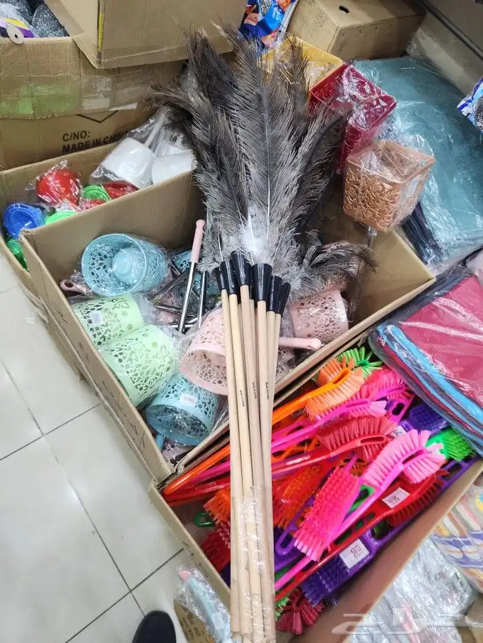 ريش نعام منافض غبار 6