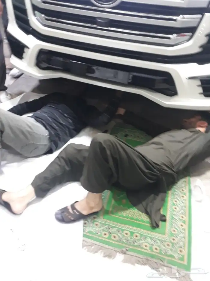 ترهيم الساير 2024 0