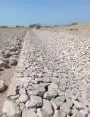 مقاول ثيل صناعي نجيله زراعه بيوت واسطح المنازل 9