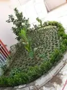 تنسيق حدائق جده ومكه زرعه النجيله الطبيعي شبكات الري 0