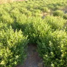 عروض اليوم الوطني السعودي 4