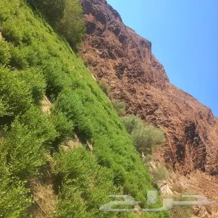 عروض اليوم الوطني السعودي 3