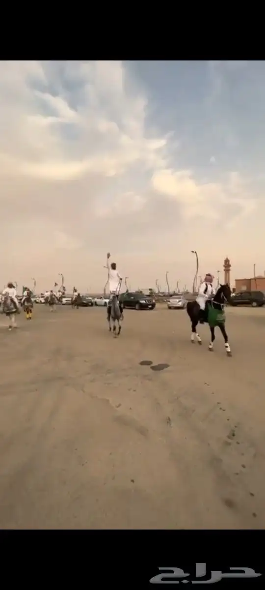 تاجر خيول وسيسي وجمالي اليوم الوطني في جده وخرج جده 1
