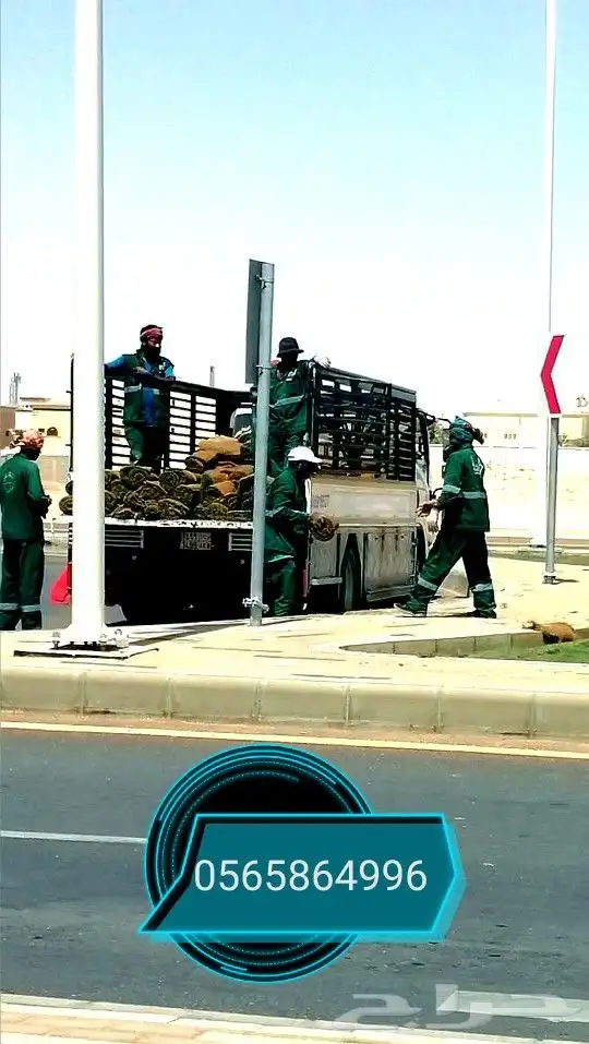 ثيل طبيعي سي الفين 5