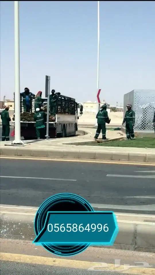 ثيل طبيعي سي الفين 3
