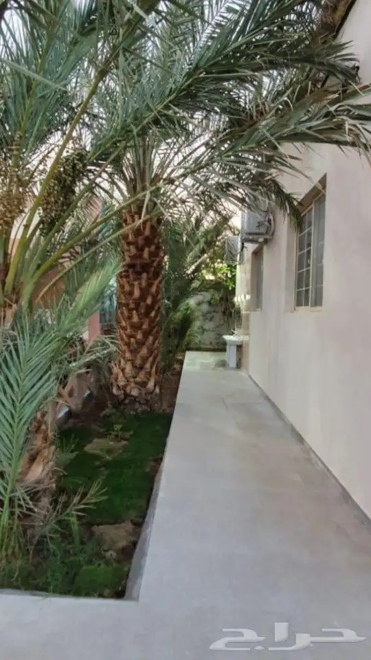 شاليهات لمسات للإيجار اليومى قسم بدون مسبح للمناسبات والجمعا 5