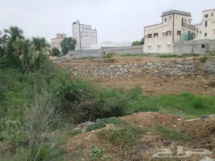 بكلين البنيان الحجر 1