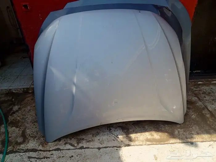 كبوت ازيرا2018.2019 0