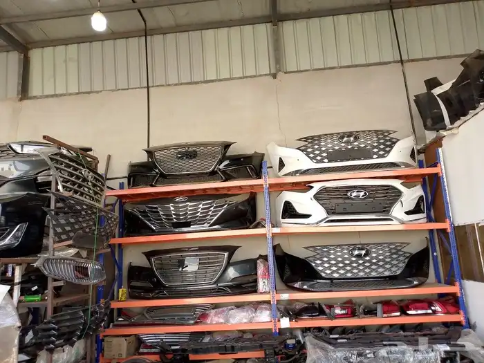 انوار صطبات مرايات صدامات ازيرا كادنزا سونات جننسس هايكلس 1