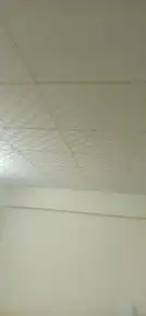 اسقف مستعارة 1