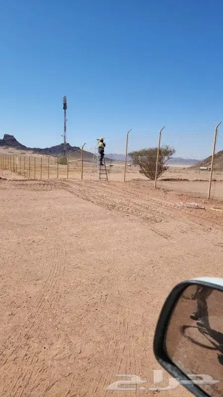 توريد جميع انواع النخل وجميع انواع الشبك 8