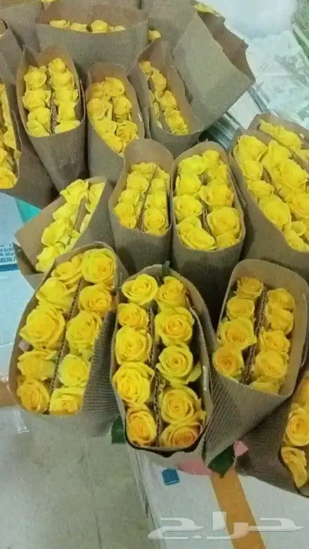 ابراهيم للورد والفل 1