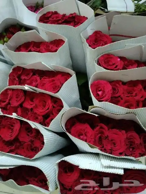 ابراهيم للورد والفل 4