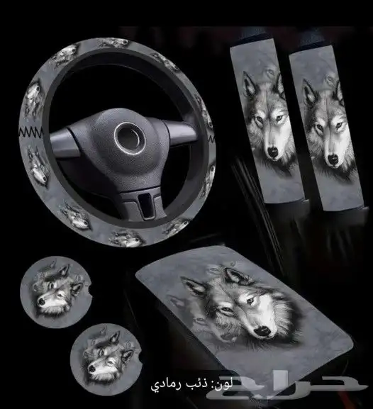 مجموعه مغطاة لعجلة السيارة 0
