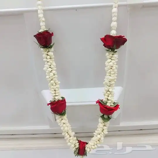 ابراهيم للورد والفل 6