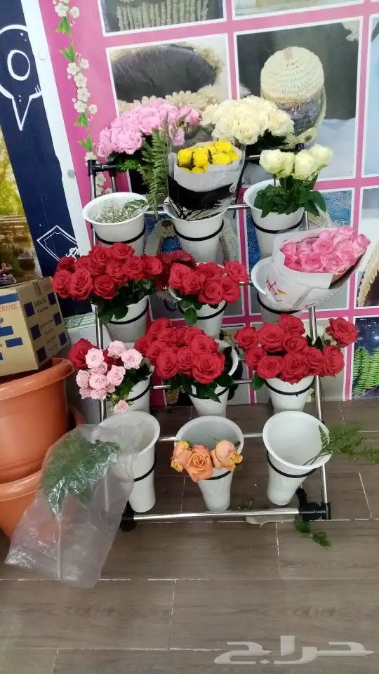 ابراهيم للورد والفل 8