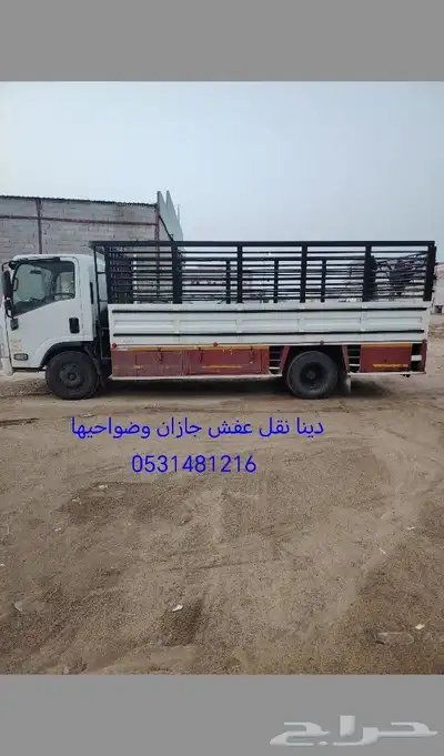 دينا عفش 0