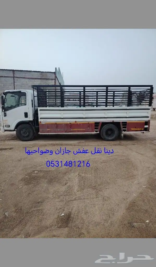 دينا عفش 0