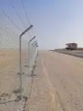 ابو عبدالله لزراعة النخيل العربي والواشطني ونقوم بتركيالأمني 1
