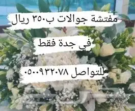 مفتشة جوالات 0
