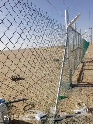ابو عبدالله لزراعة النخيل العربي والواشطني ونقوم بتركيالأمني 0
