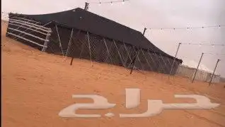 حفلات ومخيمات 4