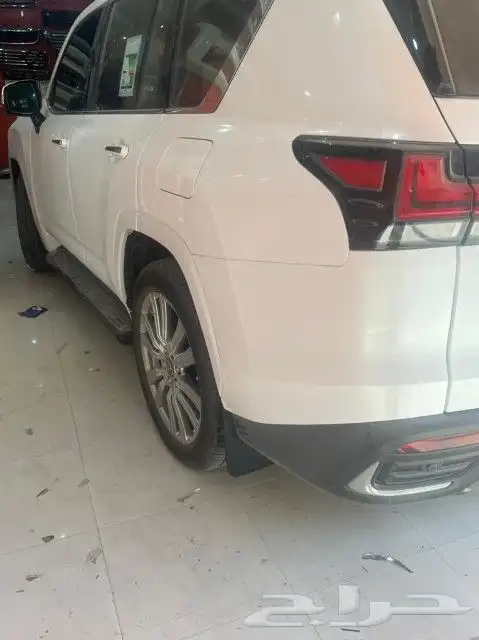 كات اف سبورت 2024 نسافات وكاله 11