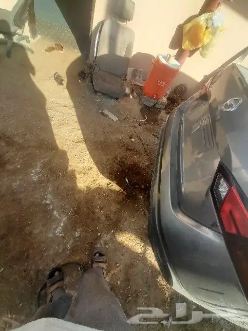نيسان التيما 2020 3