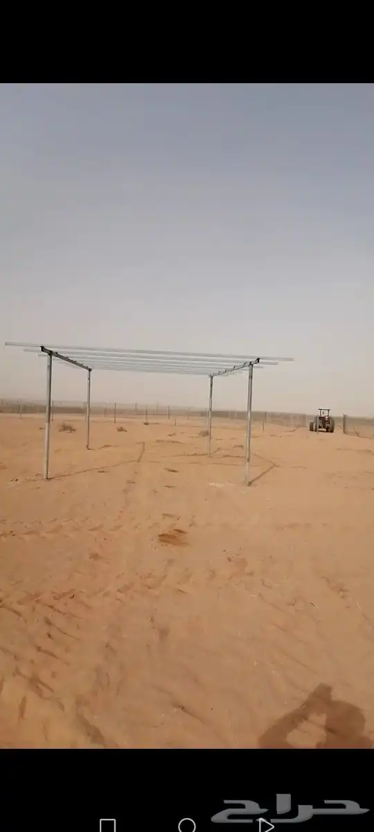 لتوريد النخل العربي والواشنطني والسياجات بجميع انواعها 0