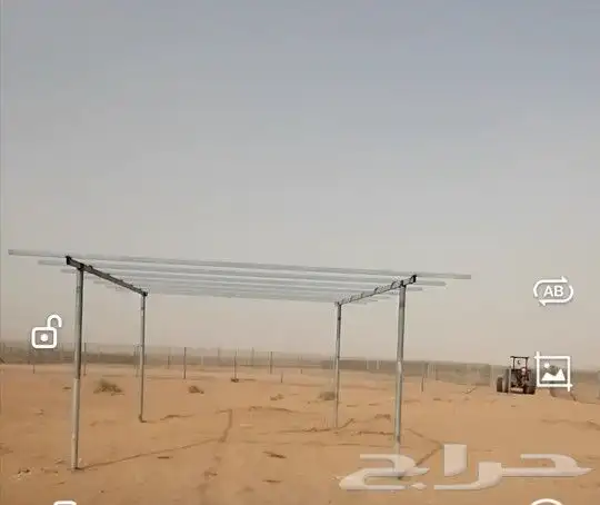 لتوريد النخل العربي والواشنطني والسياجات بجميع انواعها 1