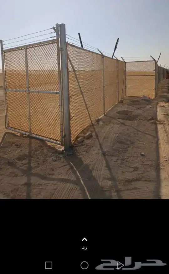 لتوريد النخل العربي والواشنطني والسياجات بجميع انواعها 2