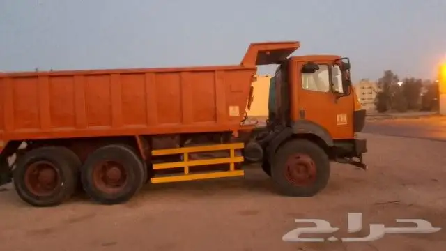 Dina Bobcat 1